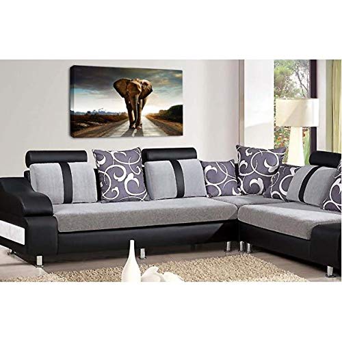 LR African Elephant Wall Art Picture Animal Jungle Framed Canvas Panel Print Ready to Hang