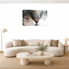 LR Kitten Pussy Cat Wall Art Picture – Animal Framed Canvas Print | Ready to Hang | Modern Wall Art for Living Room, Bedroom & Office