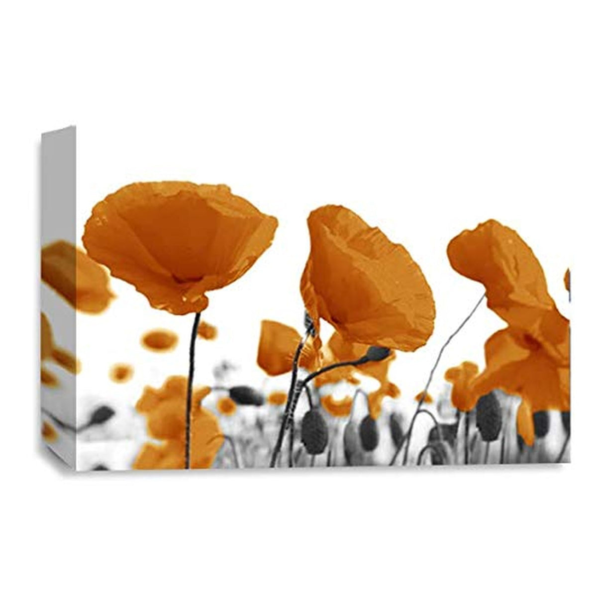 LR Floral Poppy Rose Wall Art Picture – Orange & White Framed Canvas Print | Ready to Hang | Modern Wall Art for Living Room, Bedroom & Office