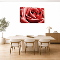 LR Floral Wall Art Picture – Grey & Red Rose Framed Canvas Print | Ready to Hang | Modern Wall Art for Living Room, Bedroom & Office