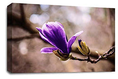 LR Floral Purple Rose Wall Art Grey White Flower Framed Canvas Picture Print Ready to Hang
