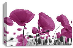 LR Floral Poppy Rose Wall Art Picture Plum Purple White Landscape Flower Picture Framed Print Ready to Hang