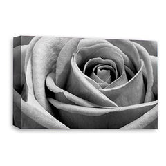 LR Floral Rose Wall Art Picture – Grey Framed Canvas Print | Ready to Hang | Modern Wall Art for Living Room, Bedroom & Office