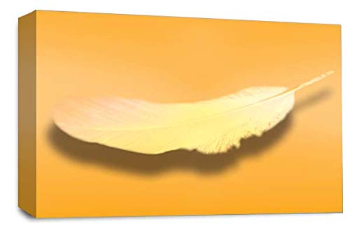 LR Abstract Feather Wall Art Picture Orange White Dream Love Framed Panel Print Ready to Hang