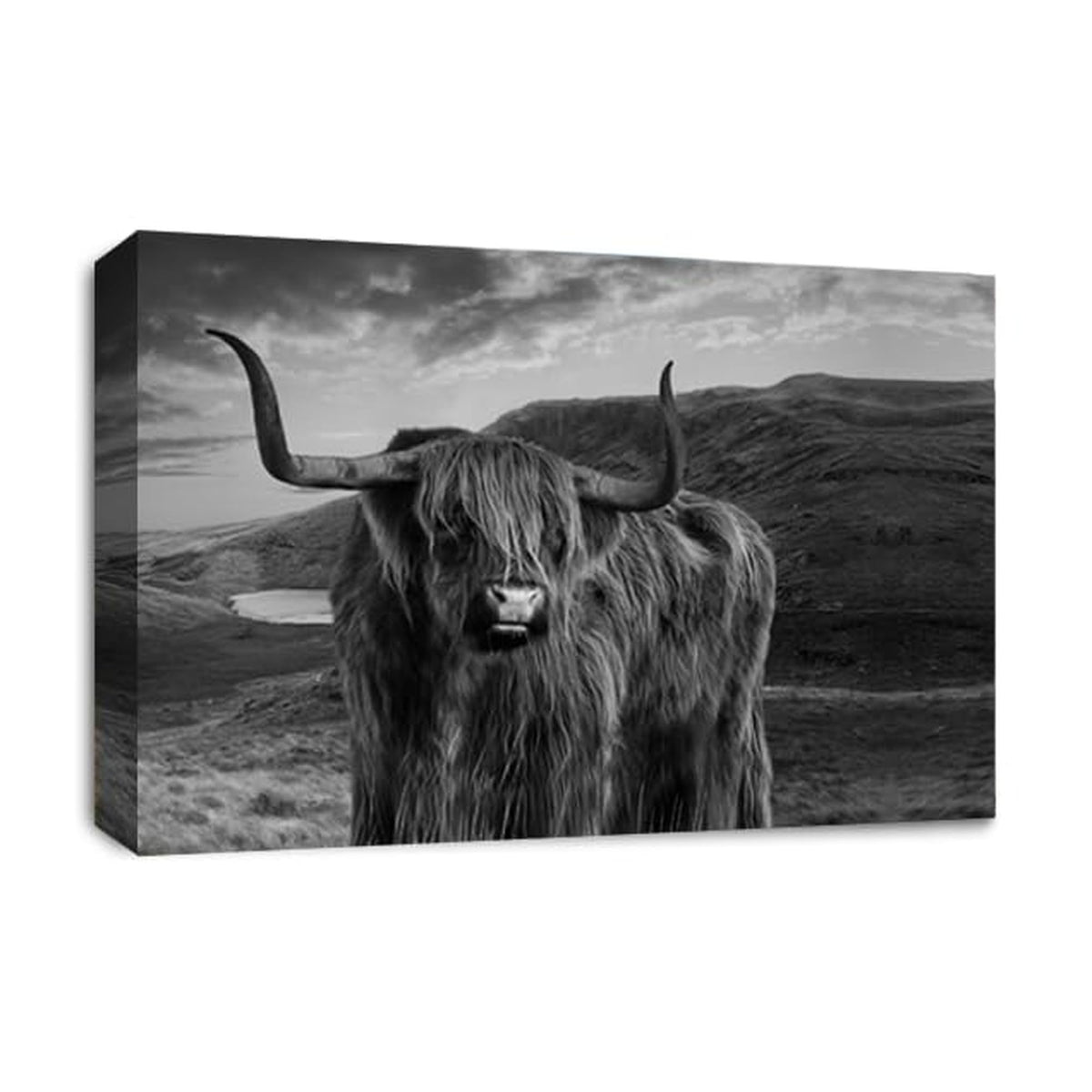 LR Highland Stag Cow Wall Art Picture – Black & White Framed Canvas Print | Ready to Hang | Modern Wall Art for Living Room, Bedroom & Office