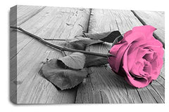 LR Floral Pink Rose Wall Art Picture – Grey & White Framed Canvas Print | Ready to Hang | Modern Wall Art for Living Room, Bedroom & Office