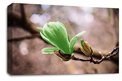 LR Floral Green Rose Wall Art Picture – Grey & White Framed Canvas Print | Ready to Hang | Modern Wall Art for Living Room, Bedroom & Office