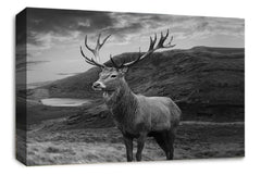 LR Highland Stag Canvas Wall Art Picture Scottish Animal Framed Panel Print Ready to Hang