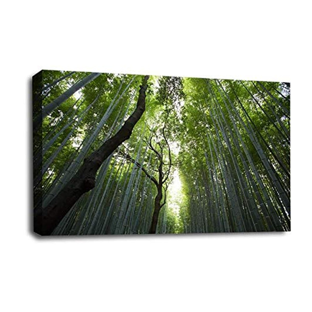 LR Forest Wall Art Picture – Landscape Framed Canvas Print | Ready to Hang | Modern Wall Art for Living Room, Bedroom & Office