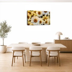 LR Floral Flower Daisy Wall Art Picture – Yellow & White Poppy Framed Canvas Print | Ready to Hang | Modern Wall Art for Living Room, Bedroom & Office