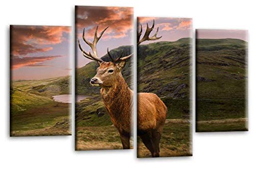 LR Scottish Highland Stag Wall Art Picture Brown Grey Green Animal Deer Framed Canvas Split Panel Print