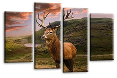 LR Scottish Highland Stag Wall Art Picture Brown Grey Green Animal Deer Framed Canvas Split Panel Print
