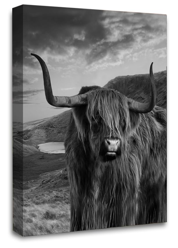 LR Highland Cow Stag Canvas Wall Art Picture Scottish Animal Framed Print Ready to Hang