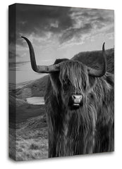 LR Highland Cow Stag Canvas Wall Art Picture Scottish Animal Framed Print Ready to Hang