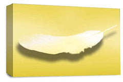 LR Abstract Feather Wall Art Picture Yellow White Dream Love Framed Panel Print Ready to Hang