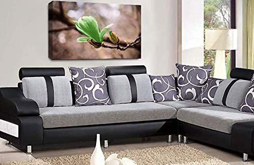 LR Floral Green Rose Wall Art Grey White Flower Framed Canvas Picture Print Ready to Hang