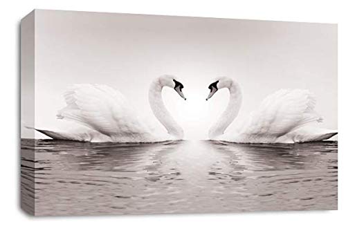 Framed Love Heart Swans Wall Art Picture Grey White Kissing Canvas Family Home Panel Print Ready to Hang