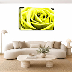 LR Floral Wall Art Picture – Yellow Rose Framed Canvas Print | Ready to Hang | Modern Wall Art for Living Room, Bedroom & Office