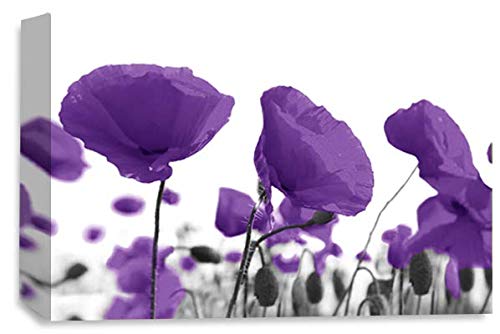 LR Floral Poppy Rose Wall Art Picture Purple White Landscape Flower Picture Framed Print Ready to Hang