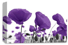 LR Floral Poppy Rose Wall Art Picture Purple White Landscape Flower Picture Framed Print Ready to Hang