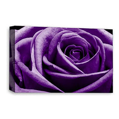 LR Floral Rose Wall Art Picture – Purple Framed Canvas Print | Ready to Hang | Modern Wall Art for Living Room, Bedroom & Office