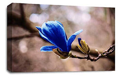 LR Floral Blue Rose Wall Art Grey White Flower Framed Canvas Picture Print Ready to Hang
