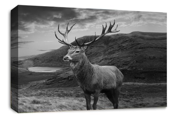 LR Highland Stag Canvas Wall Art Picture Scottish Animal Framed Panel Print Ready to Hang