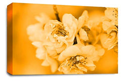 LR Floral Rose Flower Wall Art Picture – Cream & Orange Framed Canvas Print | Ready to Hang | Modern Wall Art for Living Room, Bedroom & Office