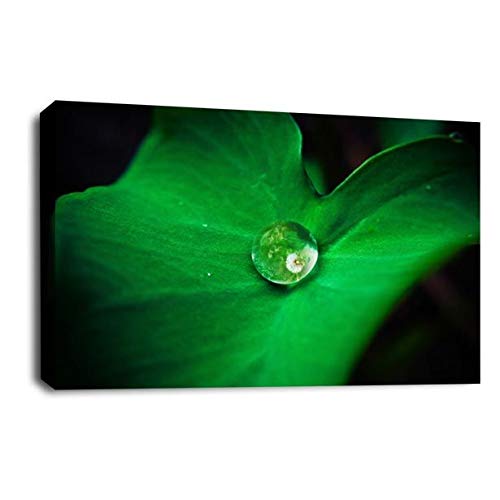 LR Floral Rain Forest Wall Art Picture Green White Flower Leaf Framed Panel Print Ready to Hang
