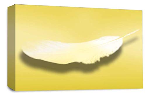 LR Abstract Feather Wall Art Picture Yellow White Dream Love Framed Panel Print Ready to Hang