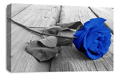LR Floral Blue Rose Wall Art Grey White Flower Canvas Picture Print Ready to Hang