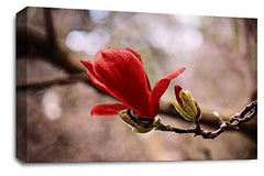 LR Floral Red Rose Wall Art Grey White Flower Canvas Picture Print Ready to Hang