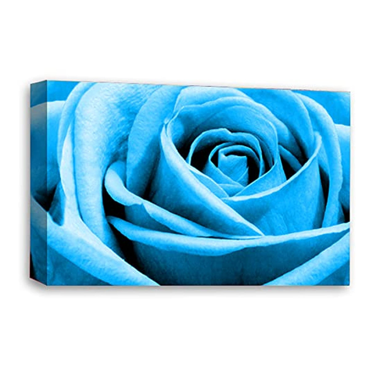 LR Floral Wall Art Picture – Blue Rose Framed Canvas Print | Ready to Hang | Modern Wall Art for Living Room, Bedroom & Office