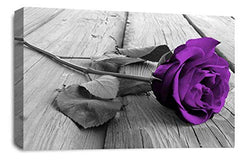 LR Floral Purple Rose Wall Art Grey White Flower Canvas Picture Print Ready to Hang