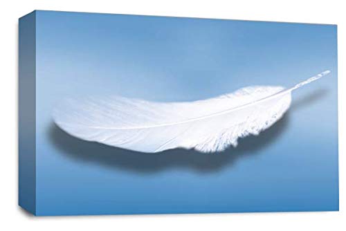 LR Abstract Feather Wall Art Picture Blue White Dream Love Framed Panel Print Ready to Hang