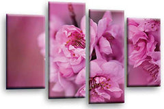 LR Floral Wall Art Print Picture Pink Cream Rose Flower Framed Split Panel Canvas Ready to Hang