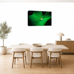 LR Floral Rain Forest Wall Art Picture – Green & White Framed Canvas Print | Ready to Hang | Modern Wall Art for Living Room, Bedroom & Office
