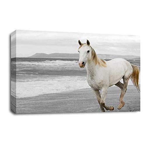 LR White Horse Running Wall Art Picture Animal Home Framed Canvas Panel Print Ready to Hang