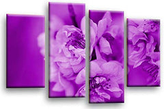 LR Floral Rose Wall Art Picture Purple Cream Spring Flower Framed Split Panel Canvas Print Ready to Hang