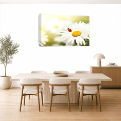 LR Floral Wall Art Picture – Yellow & White Poppy Framed Canvas Print | Ready to Hang | Modern Wall Art for Living Room, Bedroom & Office