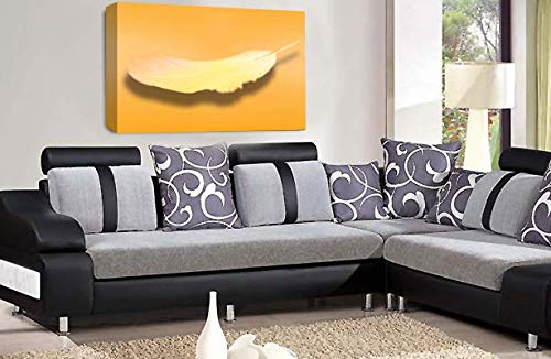 LR Abstract Feather Wall Art Picture Orange White Dream Love Framed Panel Print Ready to Hang