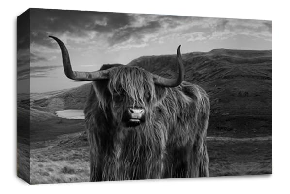 LR Highland Stag Cow Canvas Wall Art Picture Scottish Animal Framed Panel Print Ready to Hang Black White