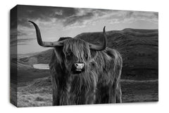 LR Highland Stag Cow Canvas Wall Art Picture Scottish Animal Framed Panel Print Ready to Hang Black White