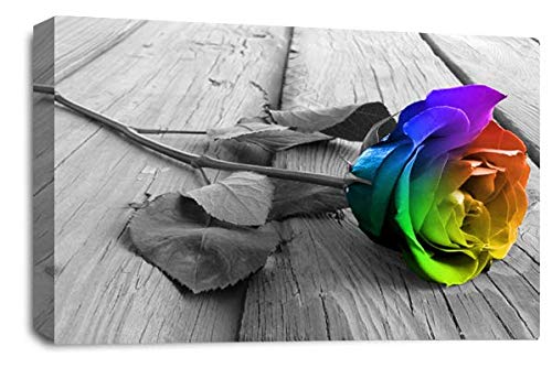 LR Floral Rainbow Rose Wall Art Grey White Flower Canvas Picture Print Ready to Hang
