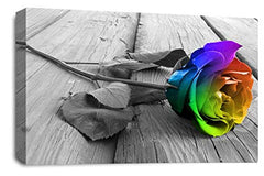 LR Floral Rainbow Rose Wall Art Grey White Flower Canvas Picture Print Ready to Hang