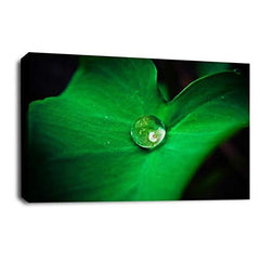 LR Floral Rain Forest Wall Art Picture Green White Flower Leaf Framed Panel Print Ready to Hang