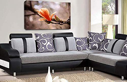 LR Floral Orange Rose Wall Art Grey White Flower Framed Canvas Picture Print Ready to Hang