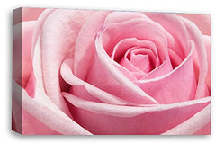 LR Floral Pink Rose Wall Art Canvas Print Flower Framed Picture Panel Ready to Hang