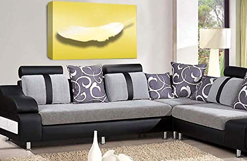 LR Abstract Feather Wall Art Picture Yellow White Dream Love Framed Panel Print Ready to Hang