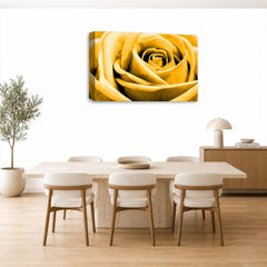 LR Floral Wall Art Picture – Orange Rose Framed Canvas Print | Ready to Hang | Modern Wall Art for Living Room, Bedroom & Office